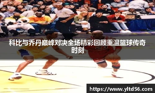 v66官网